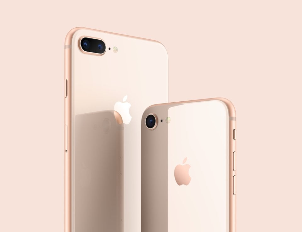 Apple iPhone 8 Plus view 20
