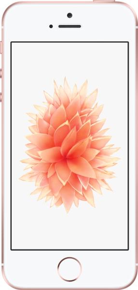 Apple iPhone SE view 4