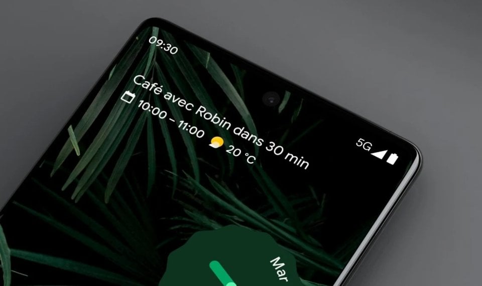 Google Pixel 6 Pro view 13