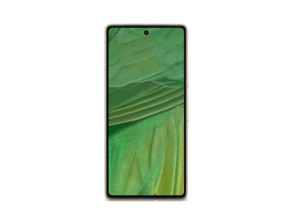 Google Pixel 7 view 7