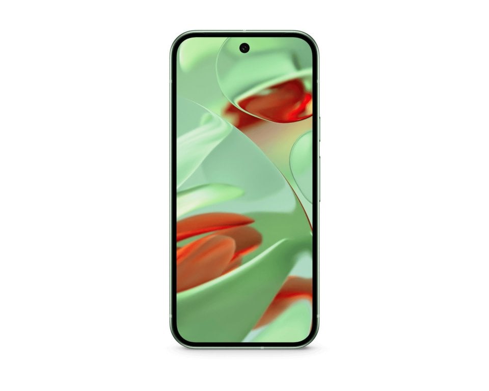 Google Pixel 9 view 6