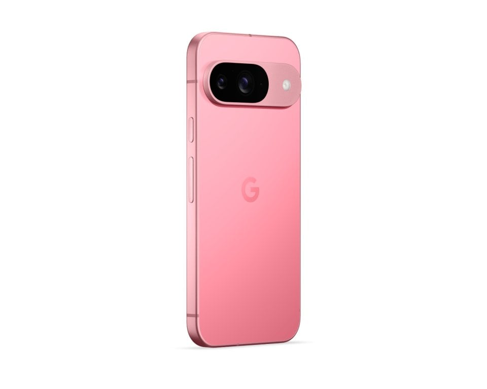 Google Pixel 9 view 14
