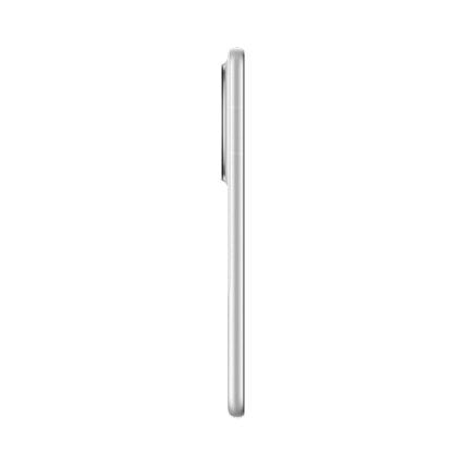 Huawei Mate 60 view 34