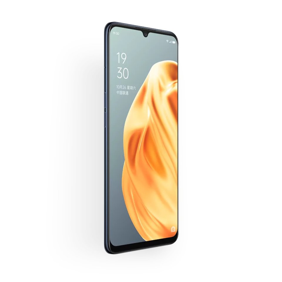 Oppo A91 view 10