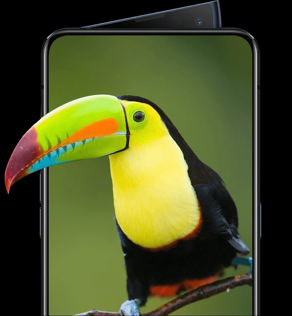 Oppo Reno2 view 25