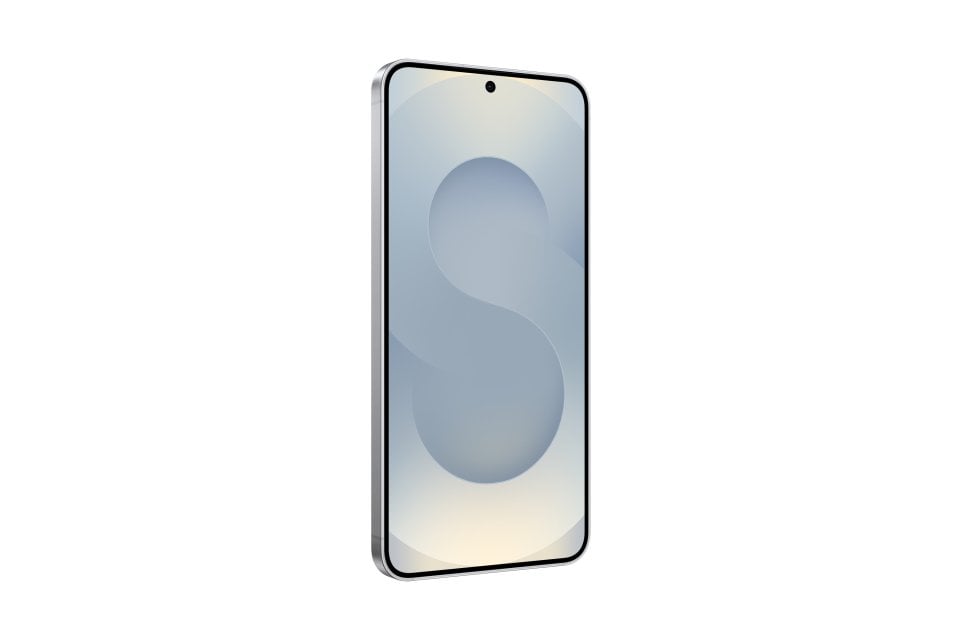 Samsung Galaxy S25 view 18