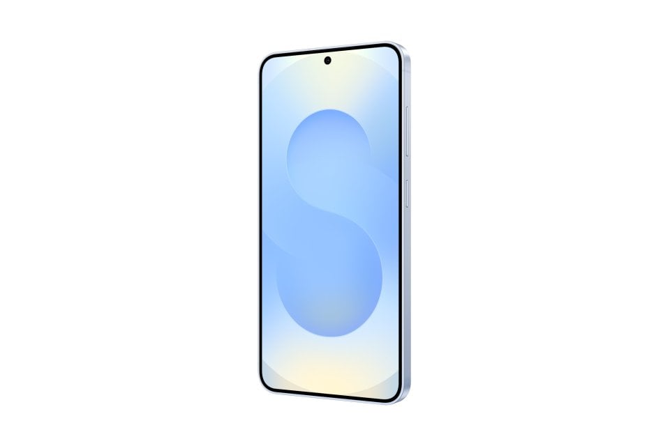 Samsung Galaxy S25 view 19