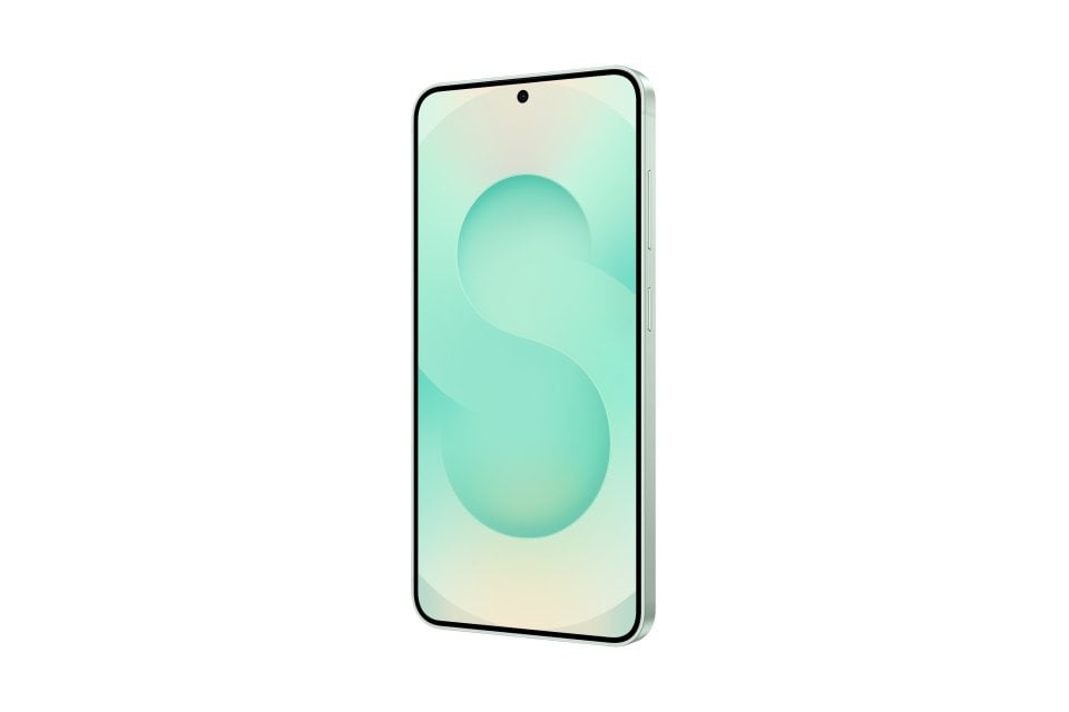 Samsung Galaxy S25 view 21