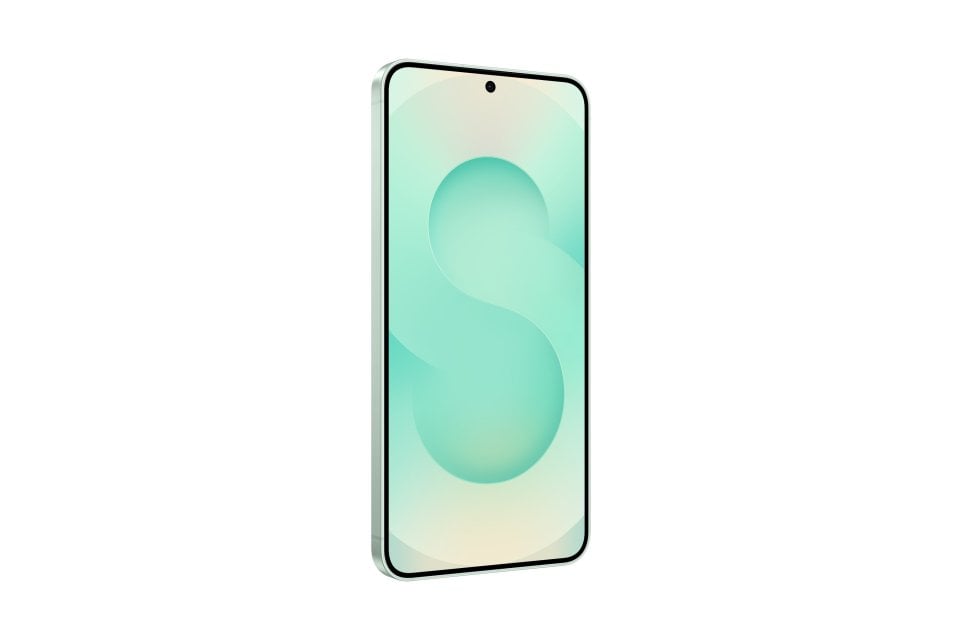 Samsung Galaxy S25 view 22