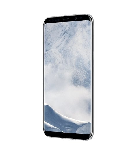 Samsung Galaxy S8+ view 19
