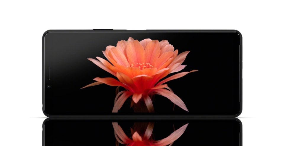 Sony Xperia 10 II view 8