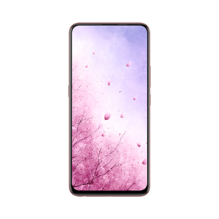 vivo S1 view 20