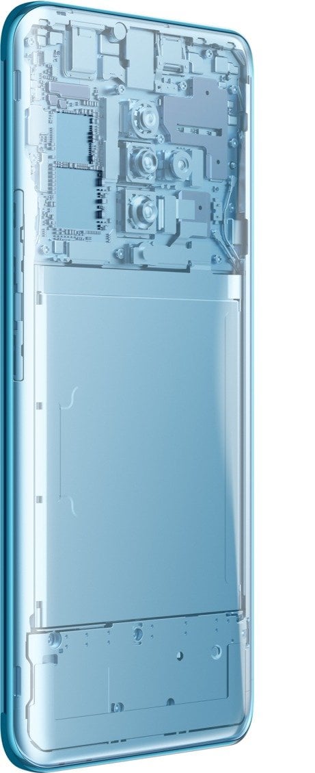 vivo S1 Prime view 14