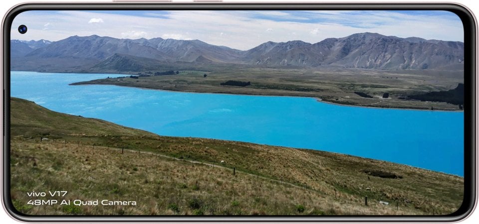 vivo V17 (Russia) view 14
