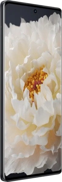 vivo X70 Pro+ view 12